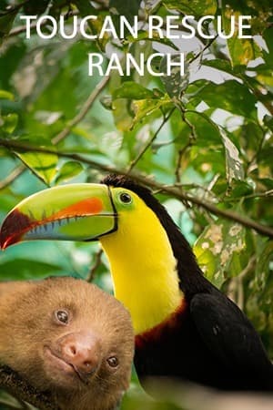 Sloth