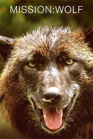 Mission Wolf
